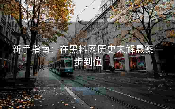 新手指南：在黑料网历史未解悬案一步到位