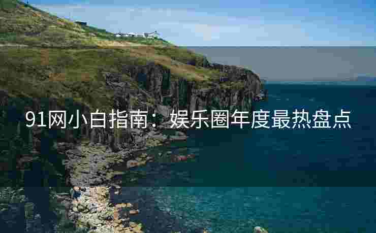 91网小白指南：娱乐圈年度最热盘点