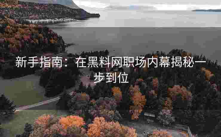 新手指南：在黑料网职场内幕揭秘一步到位
