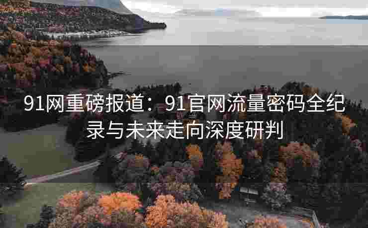 91网重磅报道：91官网流量密码全纪录与未来走向深度研判