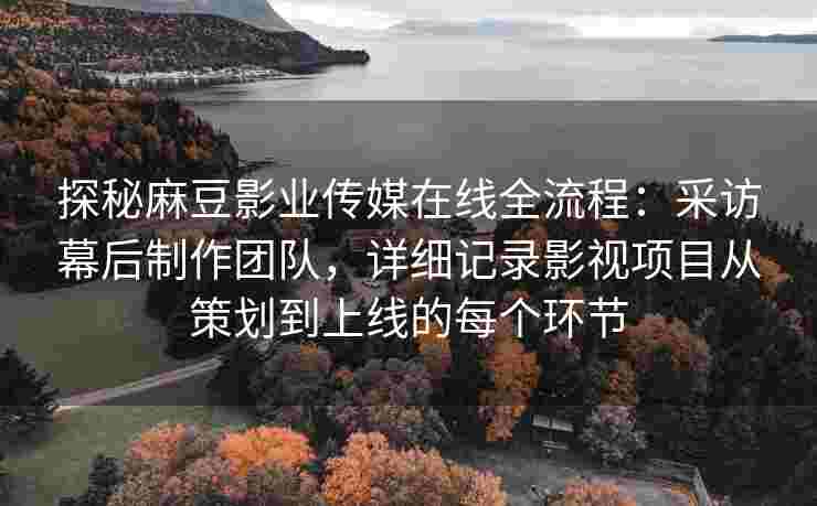 探秘麻豆影业传媒在线全流程：采访幕后制作团队，详细记录影视项目从策划到上线的每个环节
