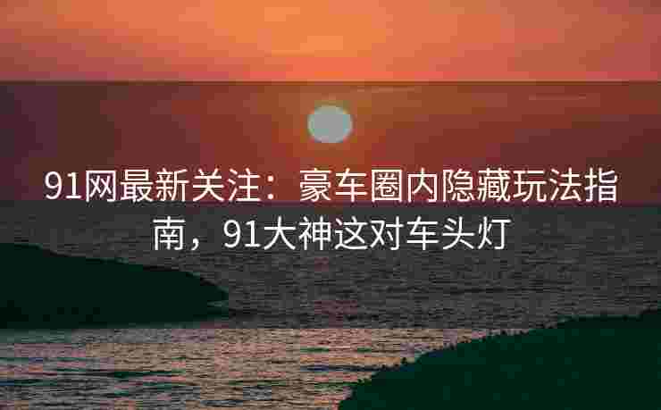 91网最新关注：豪车圈内隐藏玩法指南，91大神这对车头灯