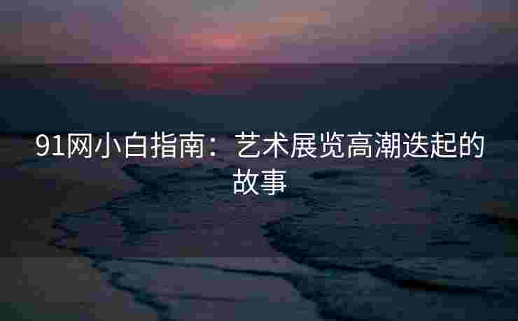 91网小白指南：艺术展览高潮迭起的故事