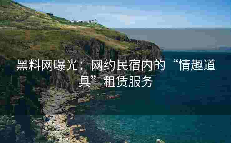 黑料网曝光：网约民宿内的“情趣道具”租赁服务