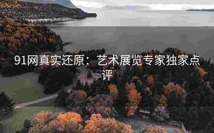 91网真实还原：艺术展览专家独家点评