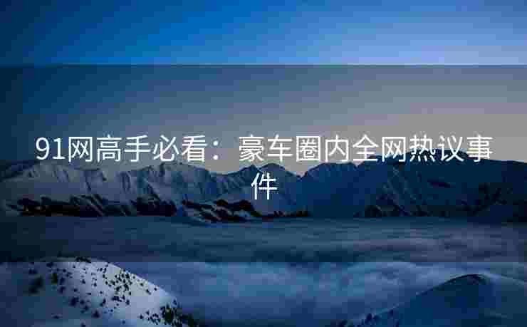 91网高手必看：豪车圈内全网热议事件