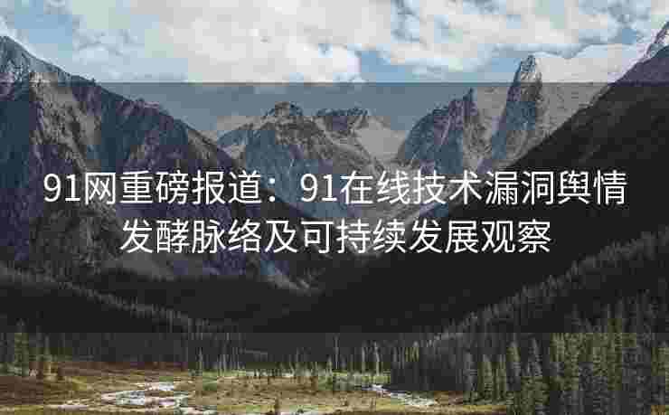 91网重磅报道：91在线技术漏洞舆情发酵脉络及可持续发展观察
