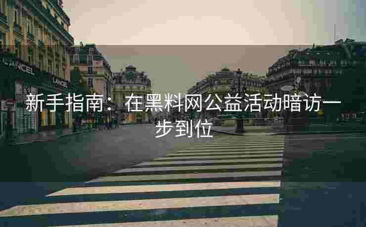 新手指南：在黑料网公益活动暗访一步到位