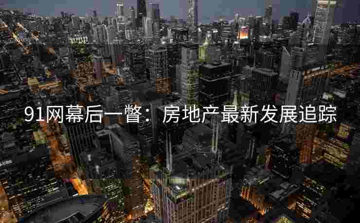 91网幕后一瞥：房地产最新发展追踪