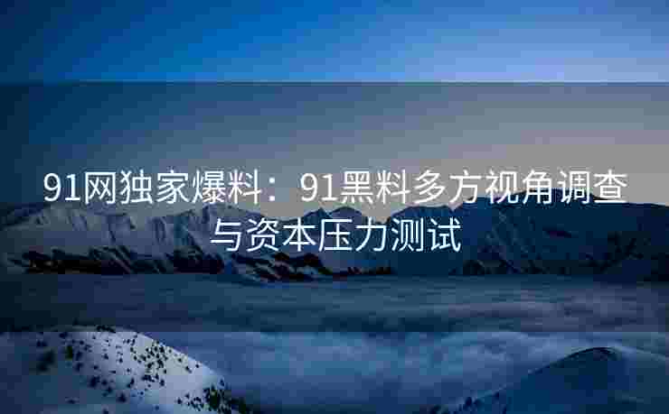 91网独家爆料：91黑料多方视角调查与资本压力测试