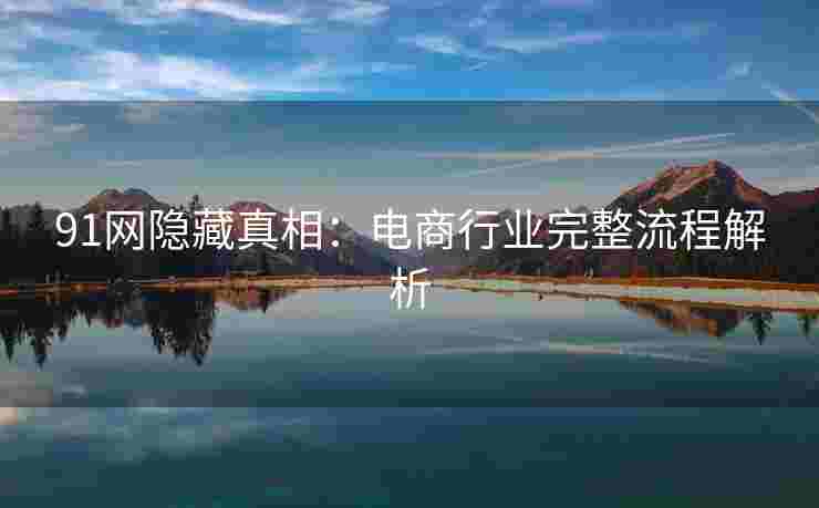 91网隐藏真相：电商行业完整流程解析